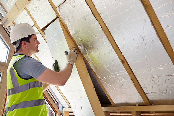 Best Insulation Installation Services in Bushnell, FL