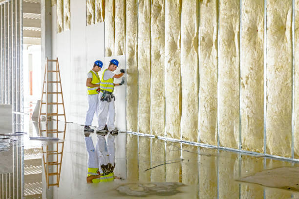 Best Insulation Materials and Products in Bushnell, FL